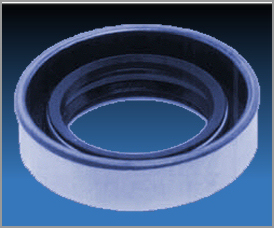 Rotary Shaft Seals